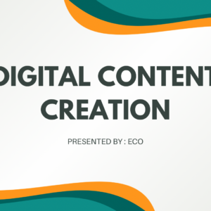 Création de Contenus exclusifs pour marques